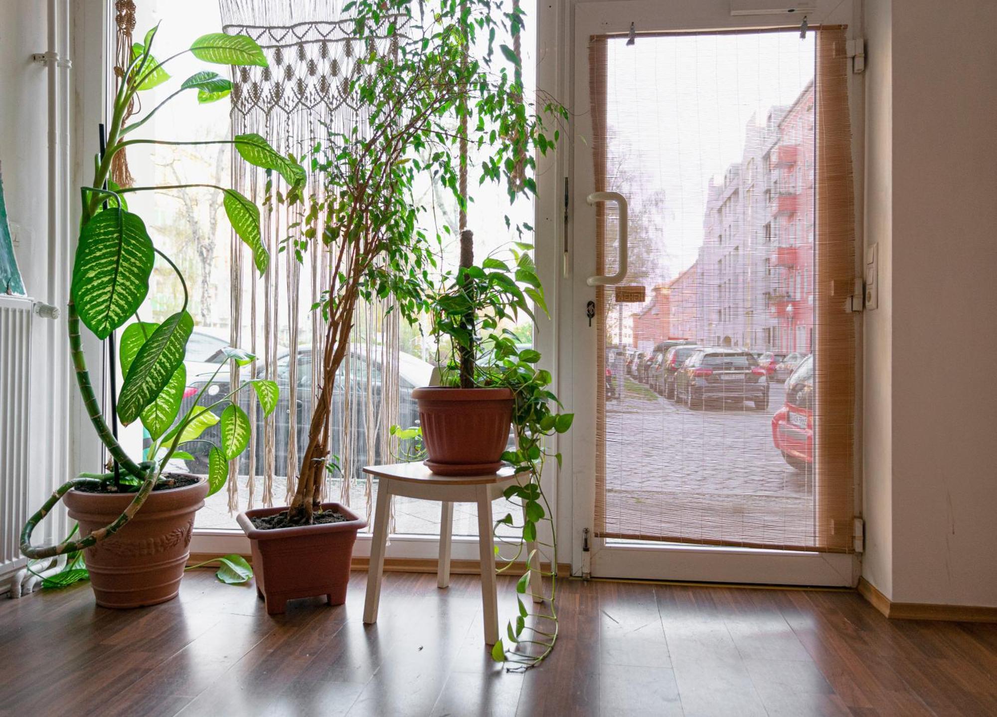 Boutique Altbau Apartment 柏林 外观 照片